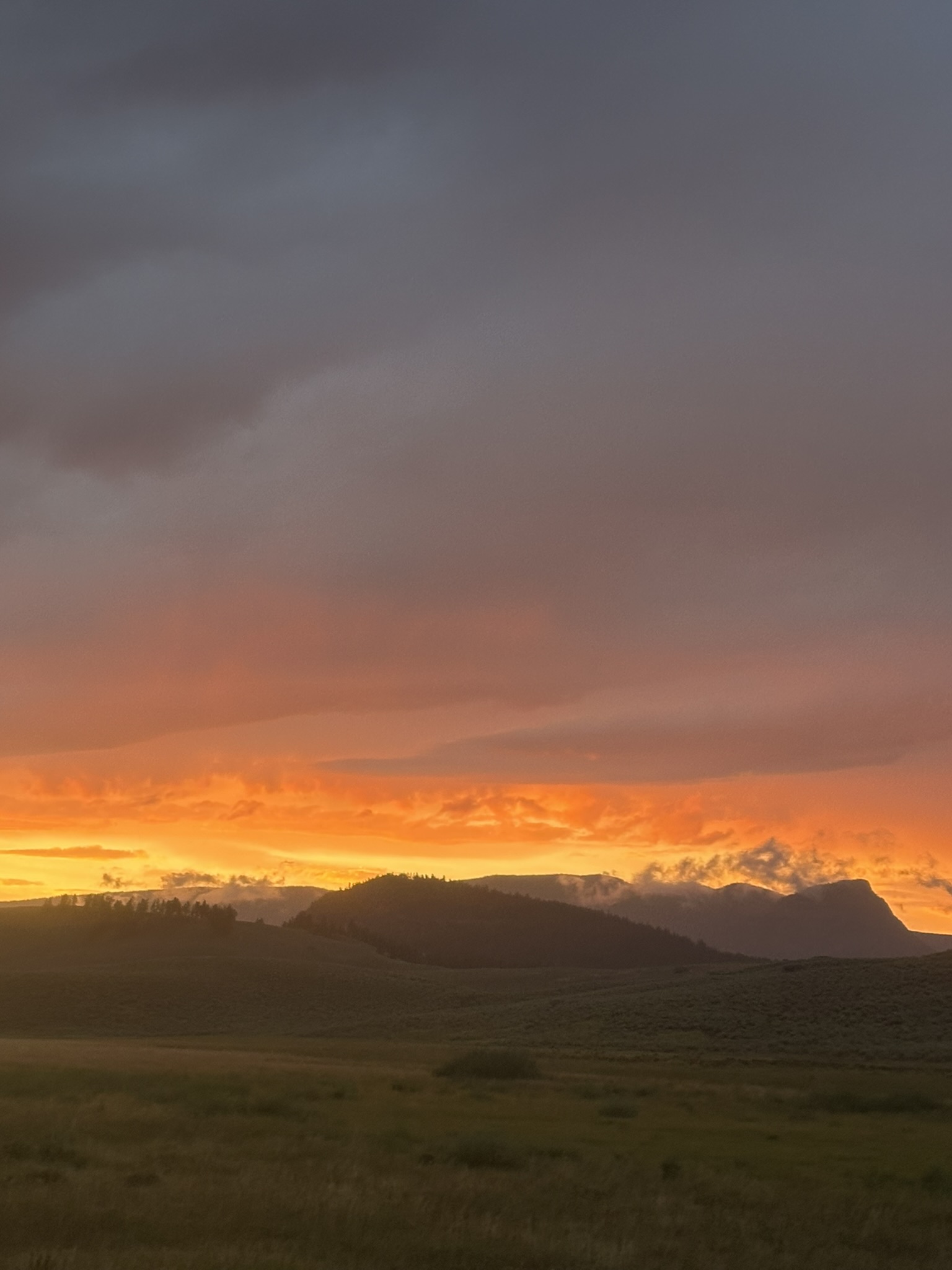Yellowstone And Grand Teton National Parks - Image 1203